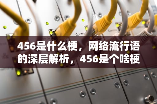 456是什么梗，网络流行语的深层解析，456是个啥梗