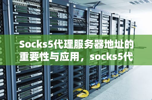 Socks5代理服务器地址的重要性与应用，socks5代理服务器地址格式