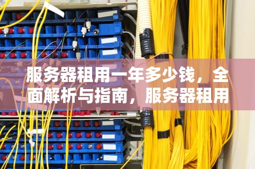 服务器租用一年多少钱，全面解析与指南，服务器租用一年多少钱合适