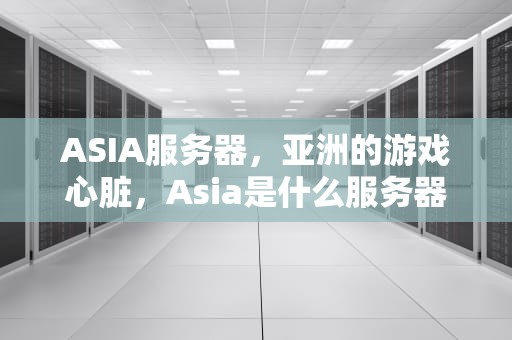 ASIA服务器，亚洲的游戏心脏，Asia是什么服务器?