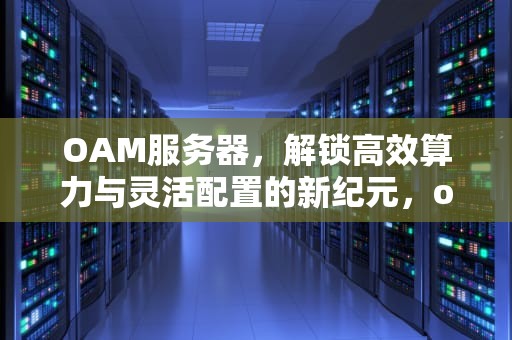 OAM服务器，解锁高效算力与灵活配置的新纪元，oam服务器是啥