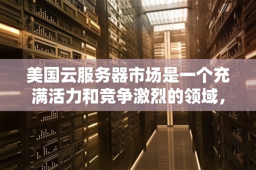 美国云服务器市场是一个充满活力和竞争激烈的领域，众多知名厂商提供了丰富多样的云服务。以下是对美国云服务器市场的详细介绍，美国云服务器有哪些品牌