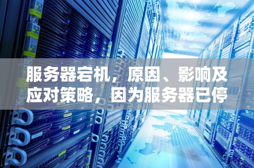 服务器宕机，原因、影响及应对策略，因为服务器已停止响应怎么办