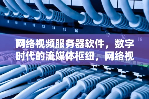 网络视频服务器软件，数字时代的流媒体枢纽，网络视频服务器软件有哪些