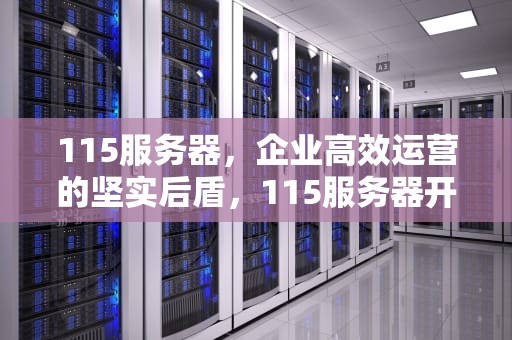 115服务器，企业高效运营的坚实后盾，115服务器开小差了