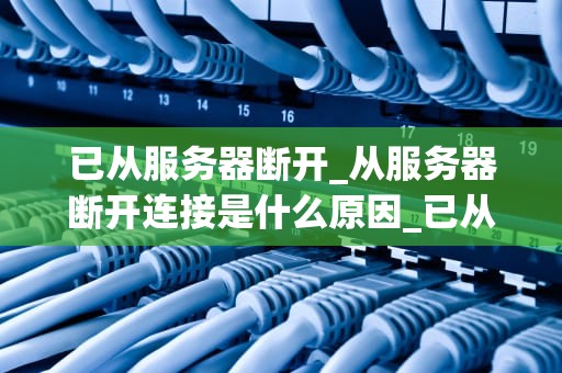 已从服务器断开_从服务器断开连接是什么原因_已从服务器断开：一次网络连接的失败与反思