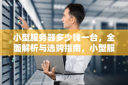 小型服务器多少钱一台，全面解析与选购指南，小型服务器多少钱一台电脑