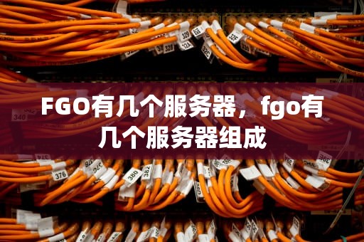 FGO有几个服务器，fgo有几个服务器组成