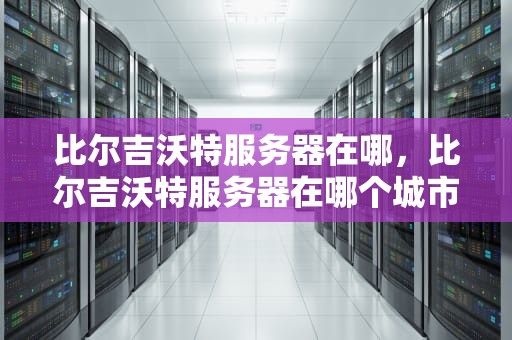 比尔吉沃特服务器在哪，比尔吉沃特服务器在哪个城市