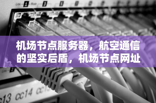 机场节点服务器，航空通信的坚实后盾，机场节点网址