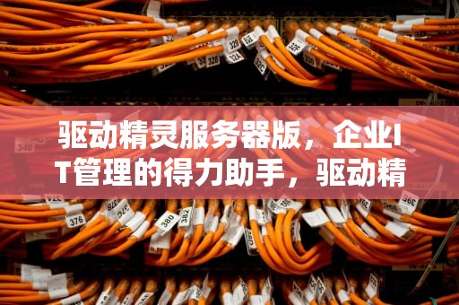 驱动精灵服务器版，企业IT管理的得力助手，驱动精灵服务器版本
