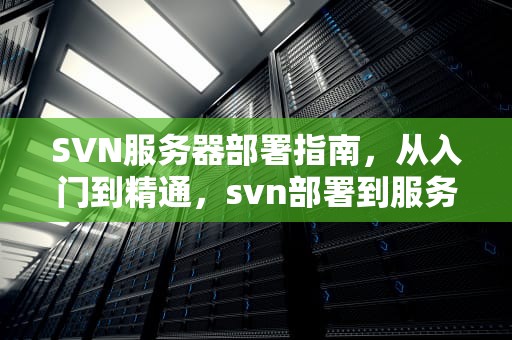 SVN服务器部署指南，从入门到精通，svn部署到服务器
