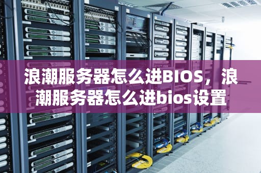 浪潮服务器怎么进BIOS，浪潮服务器怎么进bios设置