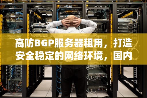 高防BGP服务器租用，打造安全稳定的网络环境，国内高防bgp服务器