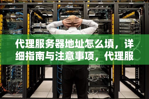 代理服务器地址怎么填，详细指南与注意事项，代理服务器地址怎么填写才正确呢