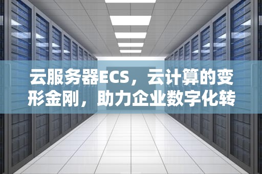 云服务器ECS，云计算的变形金刚，助力企业数字化转型，云服务器ecs有什么用处