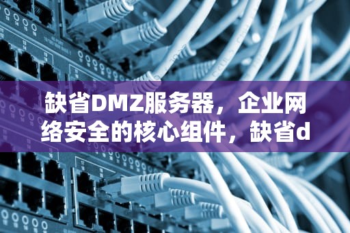 缺省DMZ服务器，企业网络安全的核心组件，缺省dmz服务器要开吗