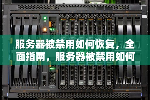 服务器被禁用如何恢复，全面指南，服务器被禁用如何恢复正常