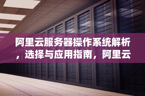 阿里云服务器操作系统解析，选择与应用指南，阿里云服务器是啥