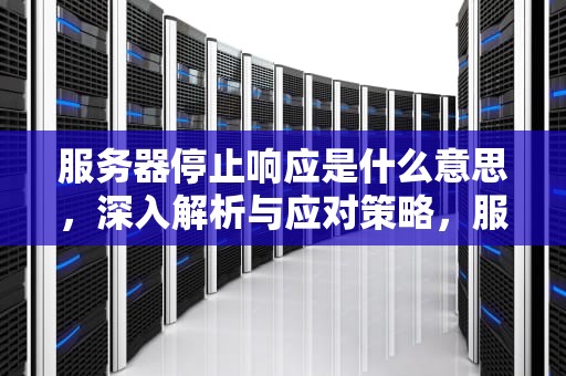 服务器停止响应是什么意思，深入解析与应对策略，服务器停止响应是什么意思别的网都能上