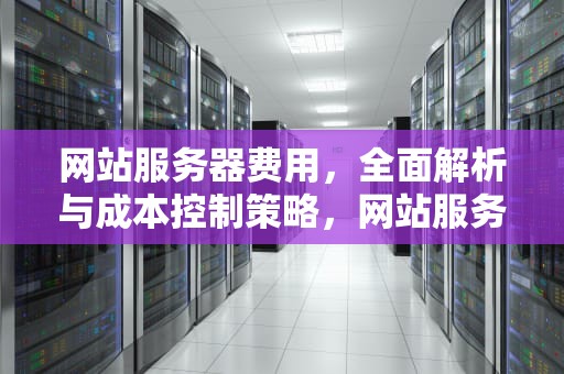 网站服务器费用，全面解析与成本控制策略，网站服务器费用一年多少钱