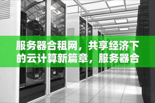 服务器合租网，共享经济下的云计算新篇章，服务器合租网站有哪些