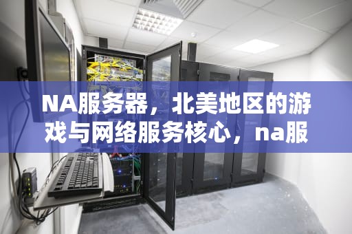 NA服务器，北美地区的游戏与网络服务核心，na服务器是什么意思