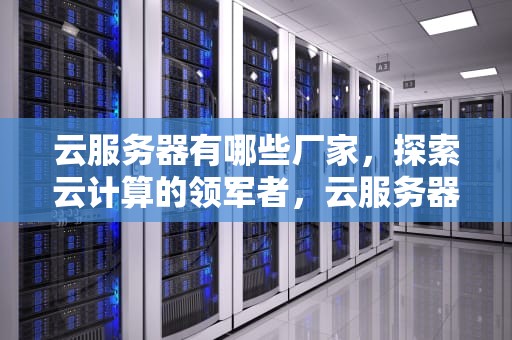 云服务器有哪些厂家，探索云计算的领军者，云服务器有哪些厂家生产