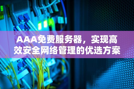 AAA免费服务器，实现高效安全网络管理的优选方案，aaa服务器的作用是什么
