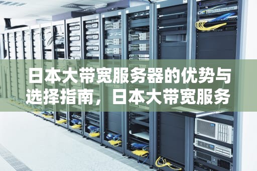 日本大带宽服务器的优势与选择指南，日本大带宽服务器是什么