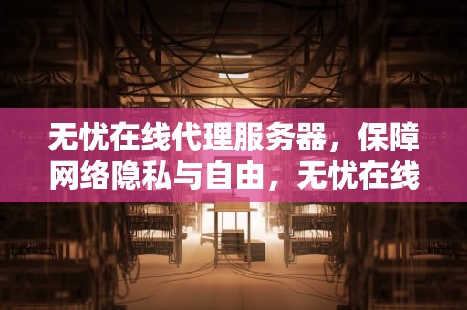 无忧在线代理服务器，保障网络隐私与自由，无忧在线代理服务器连接失败
