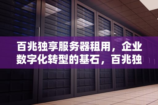 百兆独享服务器租用，企业数字化转型的基石，百兆独享服务器租用多少钱