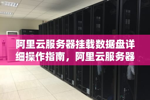阿里云服务器挂载数据盘详细操作指南，阿里云服务器挂载数据盘怎么设置
