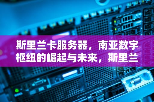 斯里兰卡服务器，南亚数字枢纽的崛起与未来，斯里兰卡服务器托管