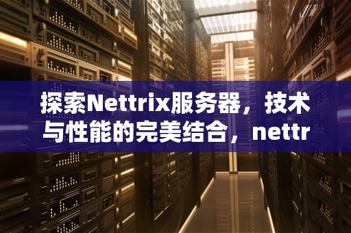 探索Nettrix服务器，技术与性能的完美结合，nettrix服务器哪家的