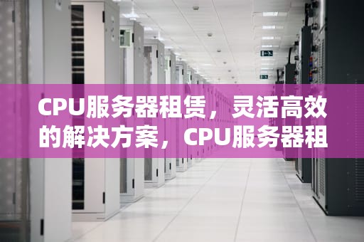 CPU服务器租赁，灵活高效的解决方案，CPU服务器租赁