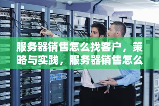服务器销售怎么找客户，策略与实践，服务器销售怎么找客户所用的软件