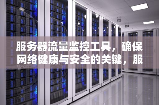 服务器流量监控工具，确保网络健康与安全的关键，服务器流量监控工具有哪些