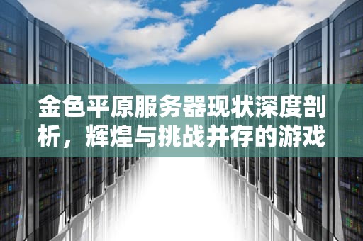 金色平原服务器现状深度剖析，辉煌与挑战并存的游戏世界，金色平原服务器怎么样