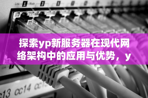 探索yp新服务器在现代网络架构中的应用与优势，yp新服务器ip地址