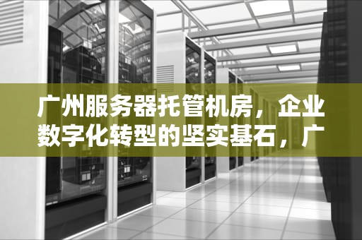 广州服务器托管机房，企业数字化转型的坚实基石，广州服务器托管机房地址