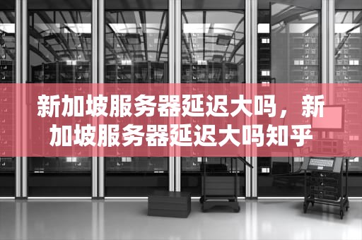 新加坡服务器延迟大吗，新加坡服务器延迟大吗知乎
