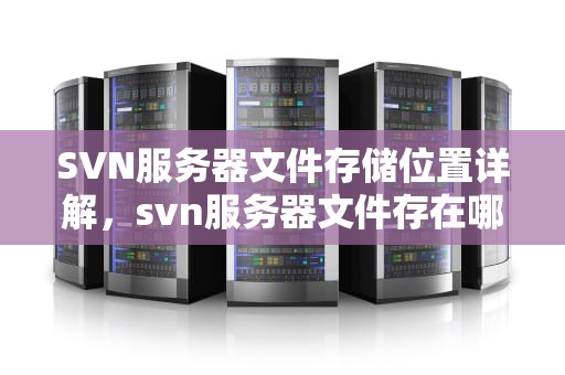 SVN服务器文件存储位置详解，svn服务器文件存在哪Windows