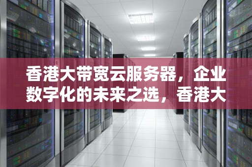 香港大带宽云服务器，企业数字化的未来之选，香港大带宽云服务器怎么用
