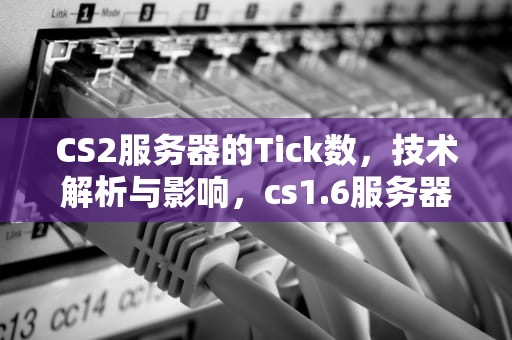 CS2服务器的Tick数，技术解析与影响，cs1.6服务器多少tick