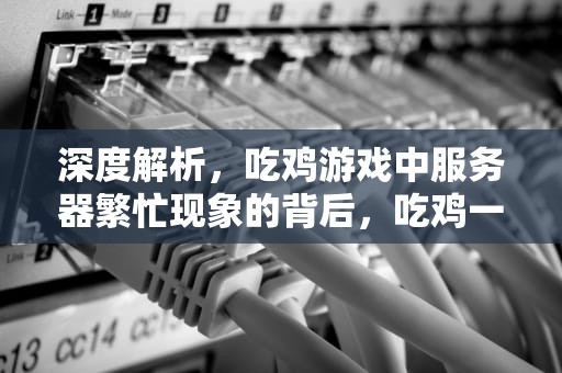 深度解析，吃鸡游戏中服务器繁忙现象的背后，吃鸡一直显示服务器繁忙吧