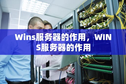 Wins服务器的作用，WINS服务器的作用