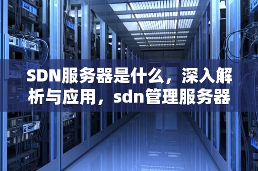SDN服务器是什么，深入解析与应用，sdn管理服务器