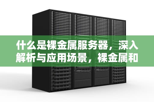 什么是裸金属服务器，深入解析与应用场景，裸金属和云服务器的差别
