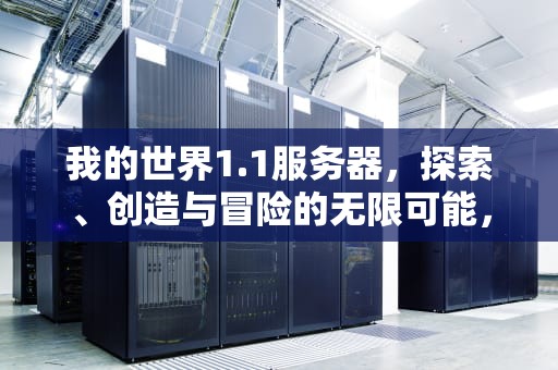 我的世界1.1服务器，探索、创造与冒险的无限可能，我的世界1.1服务器地址
